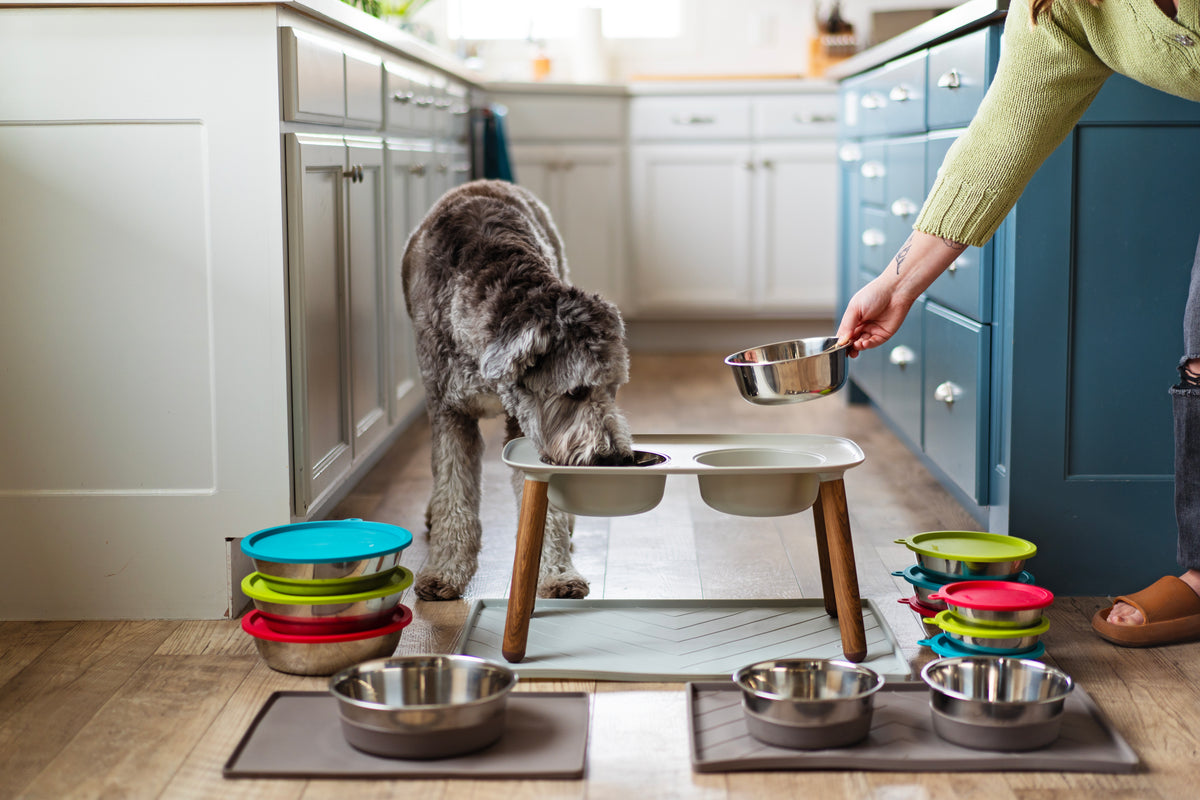 Dog Feeder Bowls Messy Mutts MessyMutts dog-feeder-bowls-messy-mutts-messymutts
