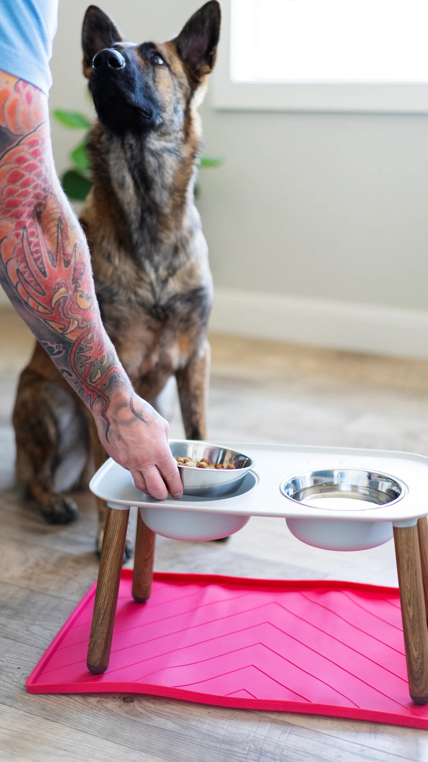 raised dog feeder at 10 inch height with faux wood legs. On top of the large watermelon mat being watched by a sheppard mix. 