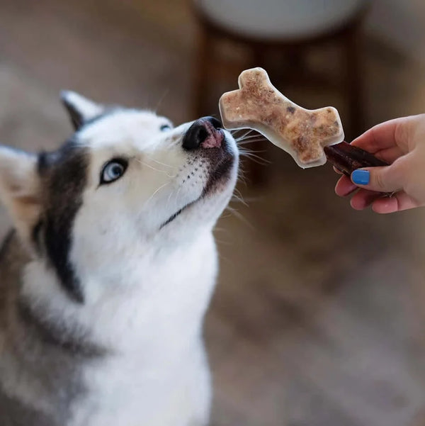 Bone Broth Pupsicles