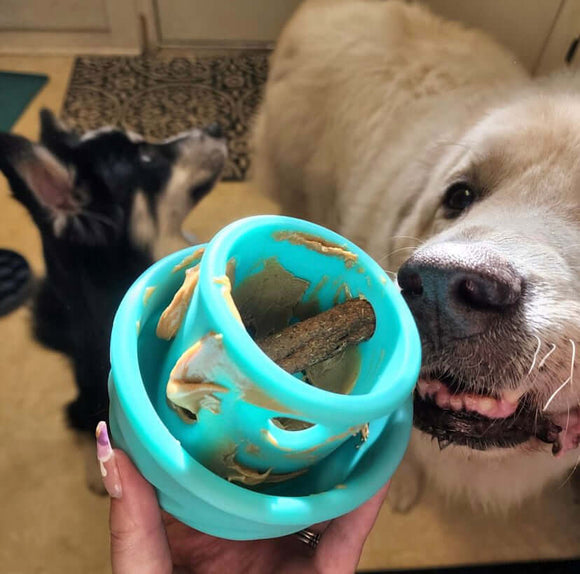 Teal Enrichment dog toy stuffed with dog treat for play