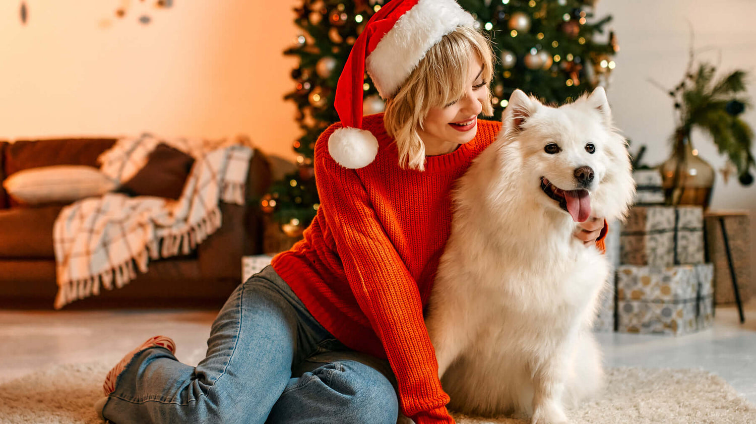 Best dog Christmas gifts