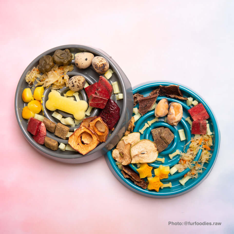 Slow Feeder Dog Bowls: Benefits and Risks  MessyMutts
