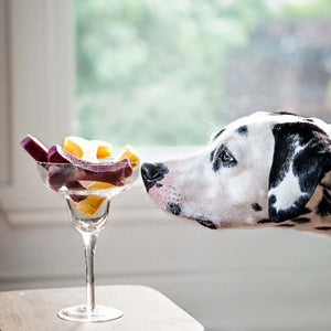 What Foods to Avoid With Your Dog Treat Maker Mold