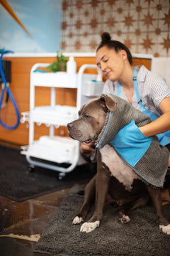 Drying the dog after a bath is super easy with the mat/towel with sewn in hand pockets to aid in drying. 