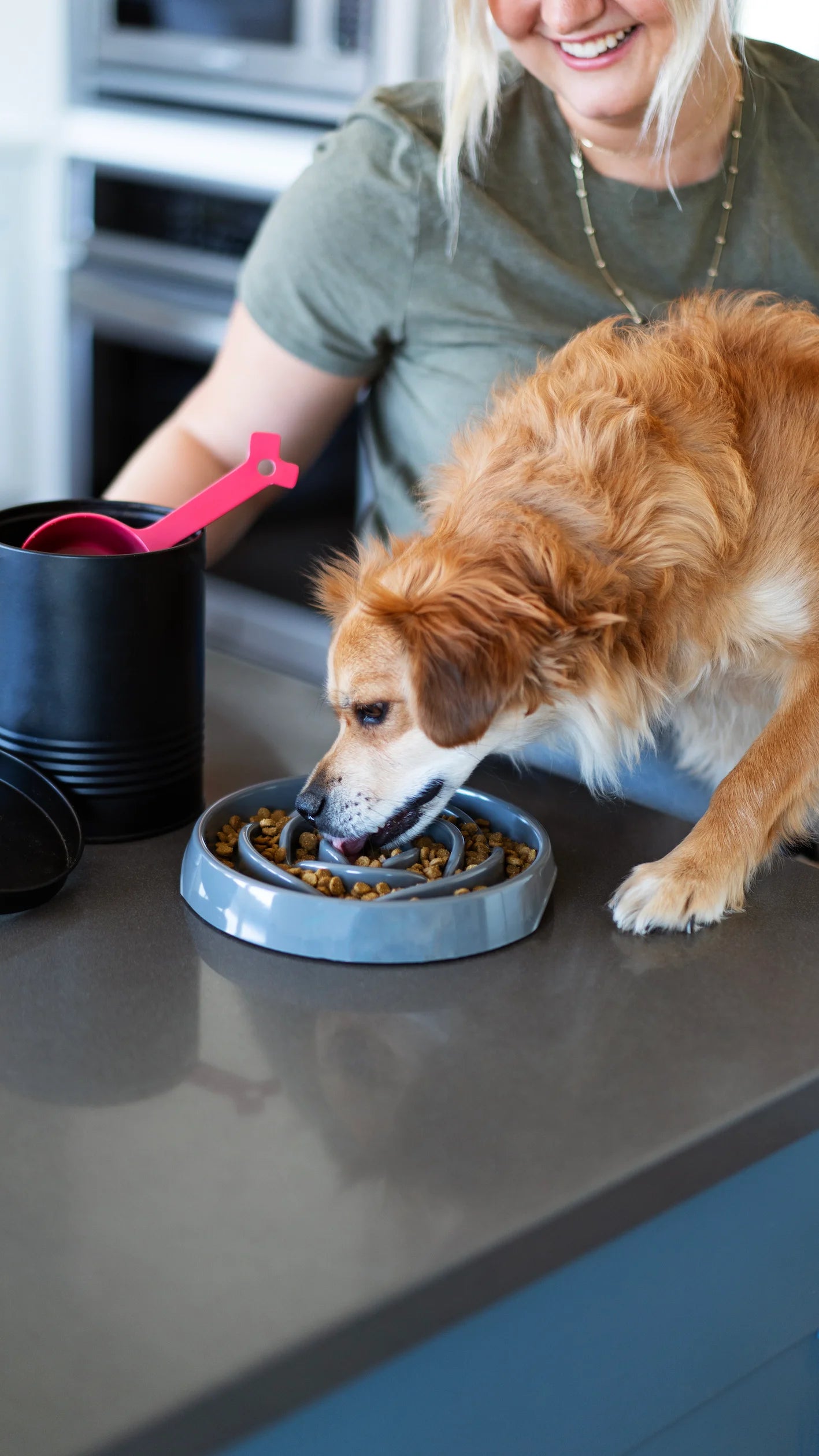 Grey 1.75 cup small dog slow feeder.  This dog is enjoying on the counter with the owner! Slow down bowl.