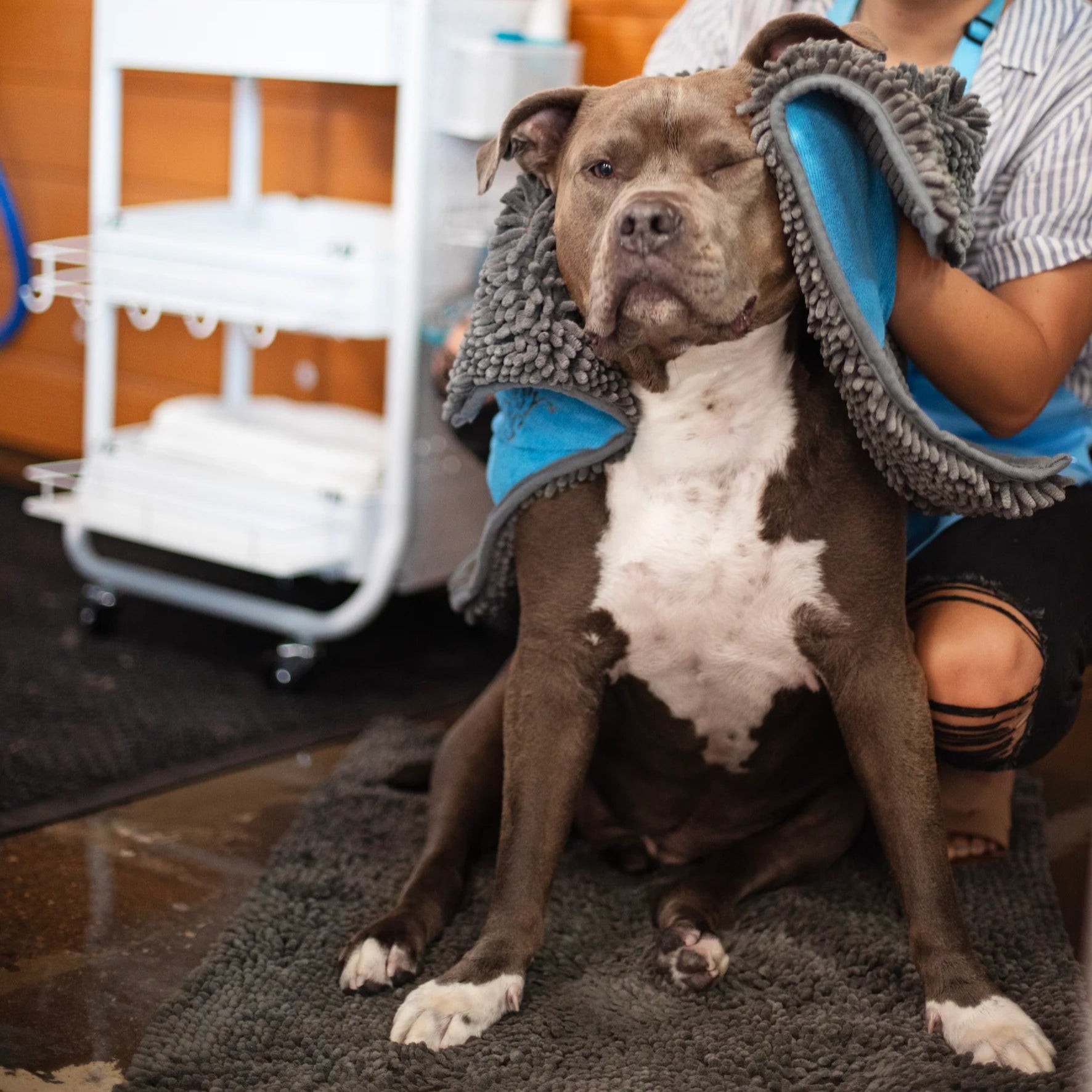Dog sales cleaning mat