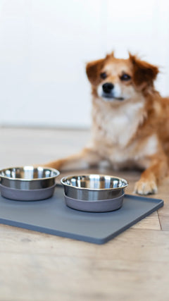 Stainless steel dog bowls with removable silicone base on a silicone mat to catch the spills. 