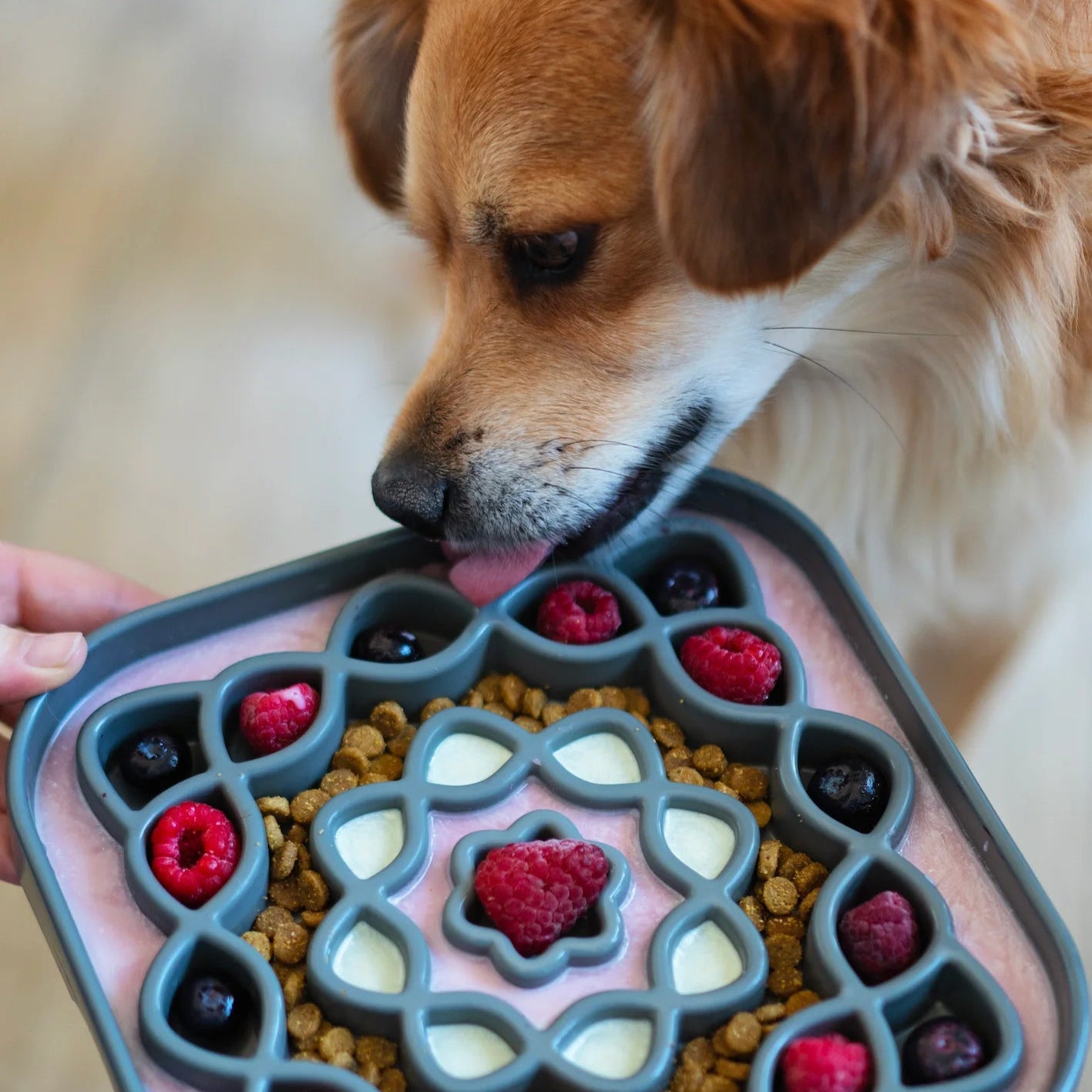 Interactive dog top food bowl