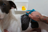 Black and white dog enjoying bath time with gentle scrub brush to help pull loose fur.