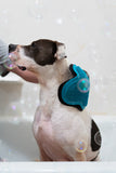 White and brown dog in bubble bath being scrubbed with silicone and microfiber mitt.