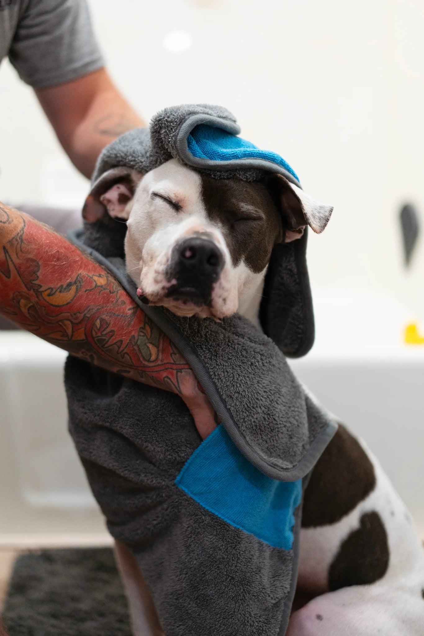 Dog towel 2025 glove