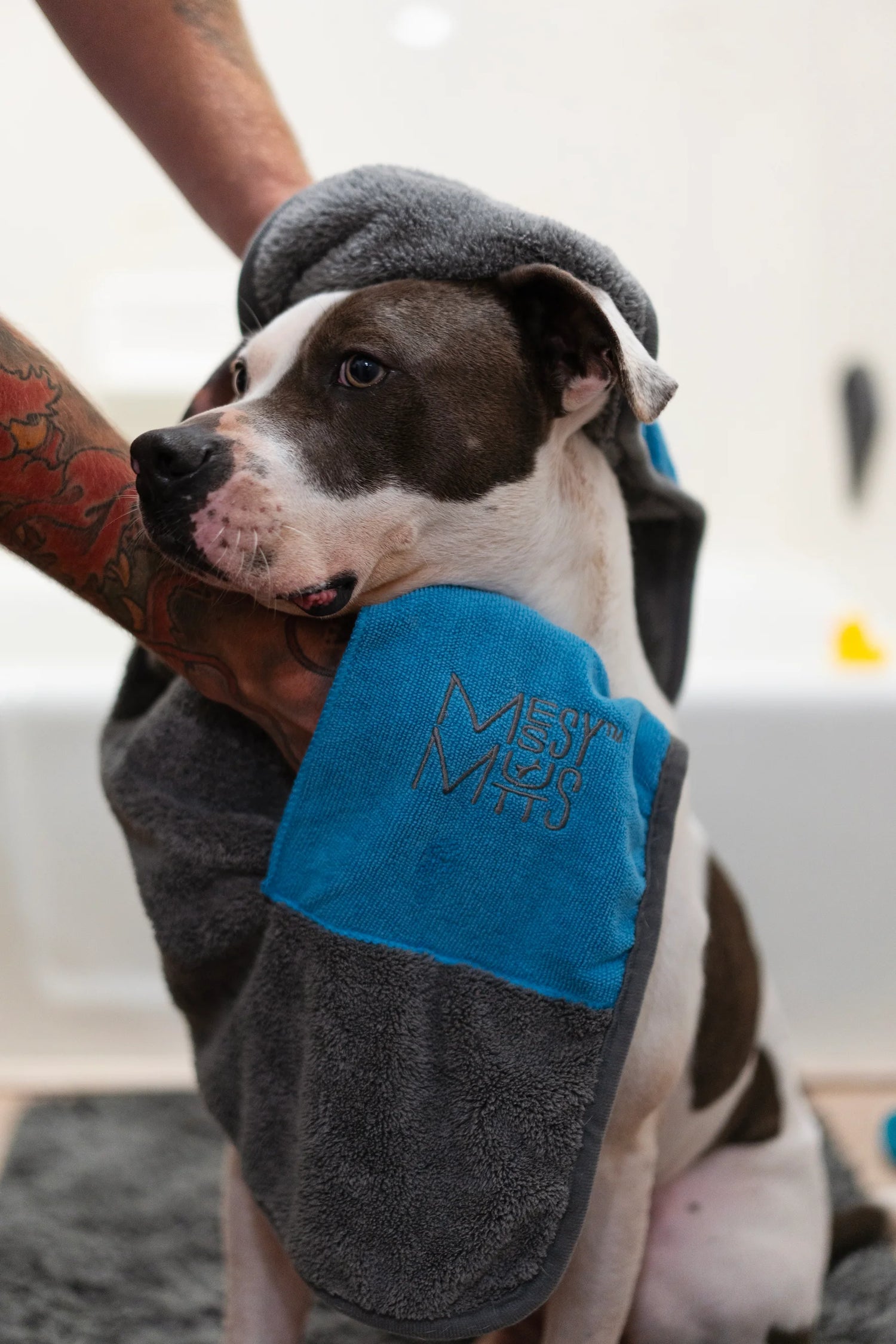 Super absorbant microfiber towel for dogs.  Easy to dry with integrated hand pockets. 