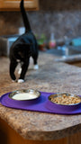 Purple cat double diner.  Low profile bowls to reduce whisker fatigue .  Non slip and dishwasher safe.  