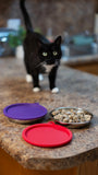 4 piece cat vbowl set. air tight silicone lids  that are stackable for food prep.  Perfect for soft cat food storage or raw feeding. 