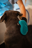 Brown bully dog being brushed with silicone and microfiber reversible mitt.