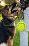 Green collapsible bowl with a carbiner hanging from a leash for easy packing and traveling.