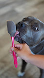 Dog licking and enjoying the end of spatula. 