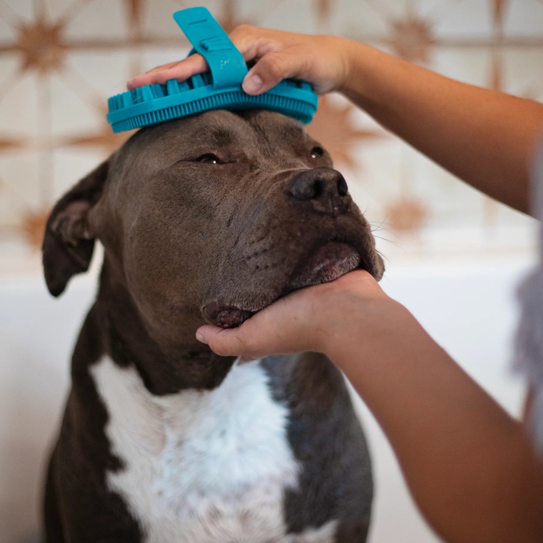 Silicone Dual Sided Grooming Brush Blue 6.5