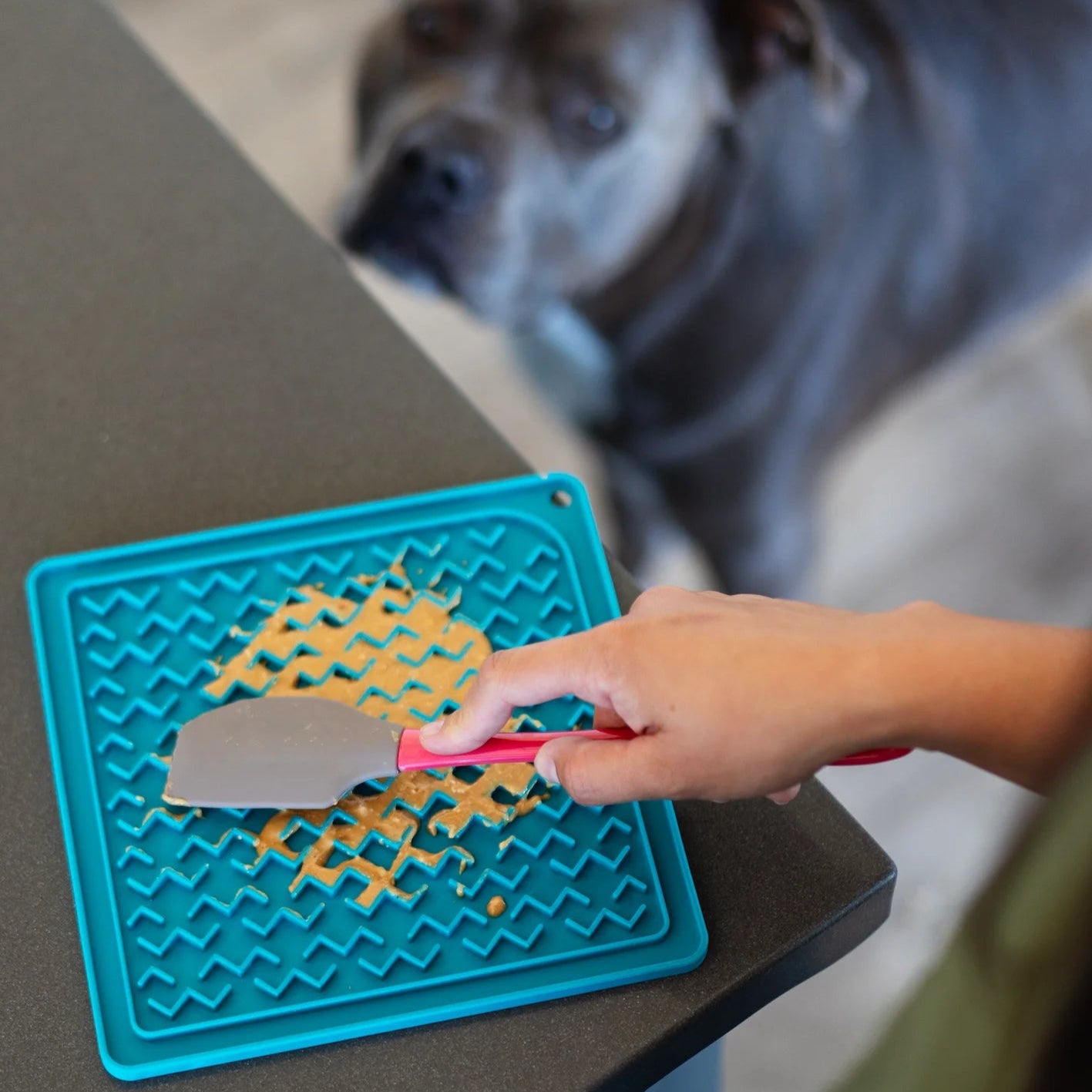Silicone Therapeutic Dog Lick Mat Dog Lick Mat Messy Mutts MessyMutts silicone-therapeutic-dog-lick-mat-dog-lick-mat-messy-mutts-messymutts