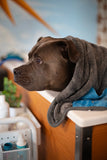 Machine washable microfiber dog towel with sewn in hand pockets to help dry. 