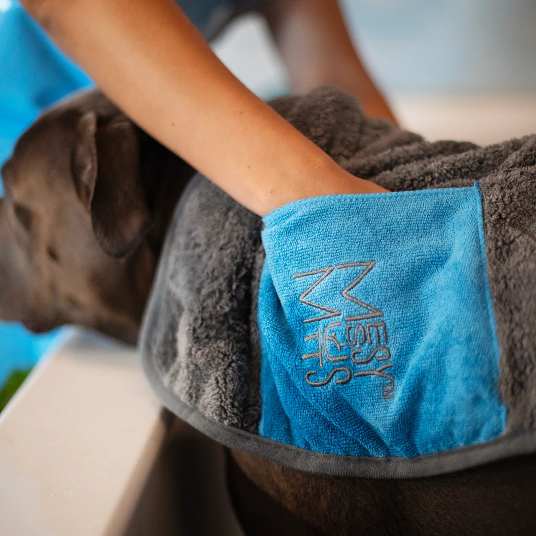 YAMAIDUO 2 Pièces Serviette Chien 140 X 70 CM, Serviette Pour Chien Doux Séchage Rapide Microfibre, Serviete Chiens Super Absorbante Pour Animaux Pour Chats, Chiens Ou Autres Animaux, Gris YAMAIDUO 2 Pièces Serviette Chien 140 X 70 CM, Serviette Pour Chien Doux Séchage Rapide Microfibre, Serviete Chiens Super Absorbante Pour Animaux Pour Chats, Chiens Ou Autres Animaux, Gris