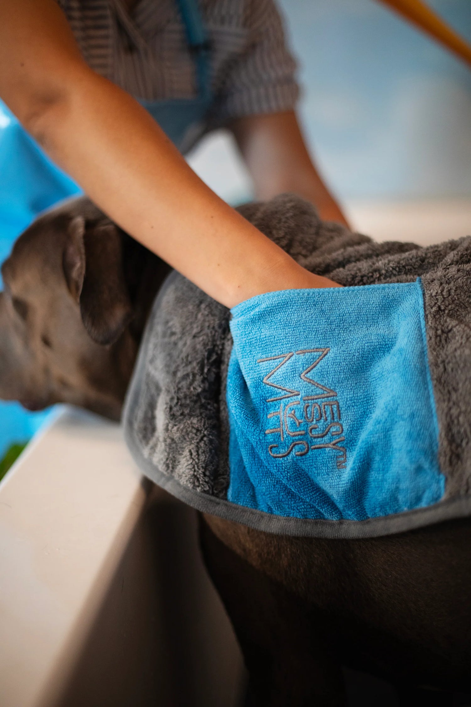 Brown pitty getting dried in the bath with soft absorbent towel