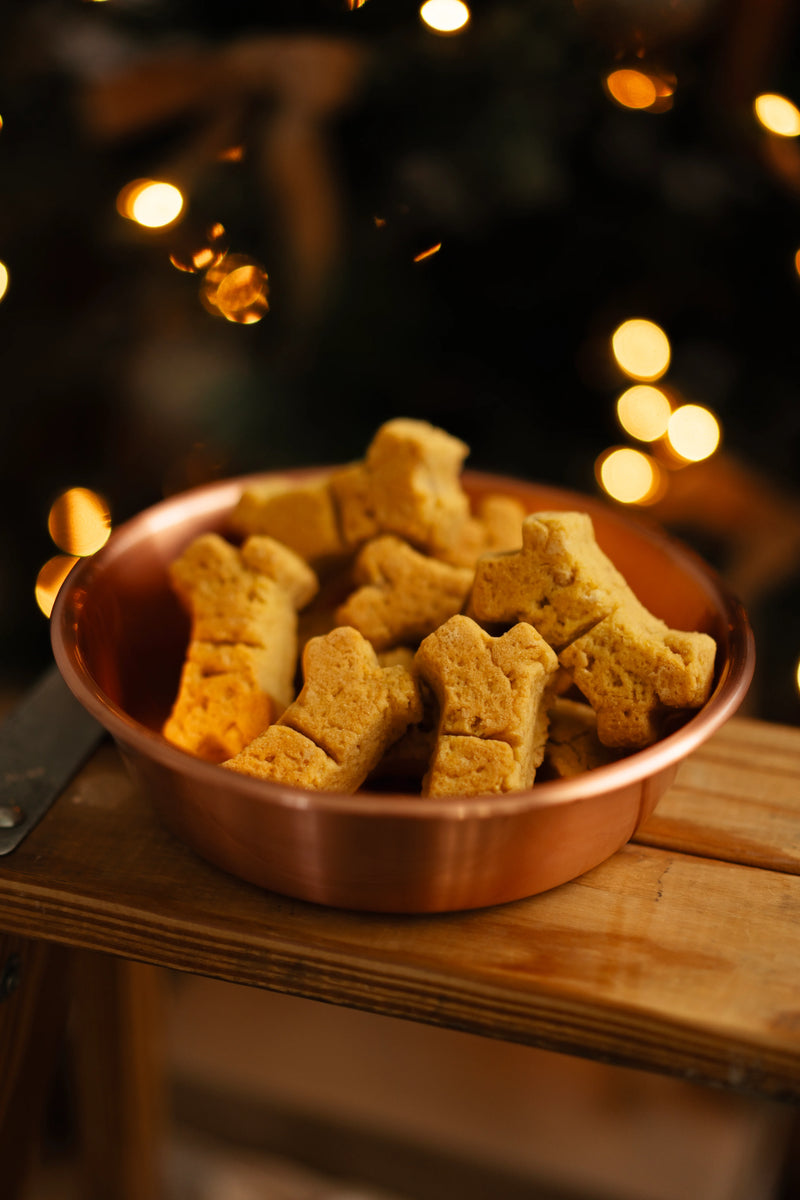 Cookies for Santa Paws