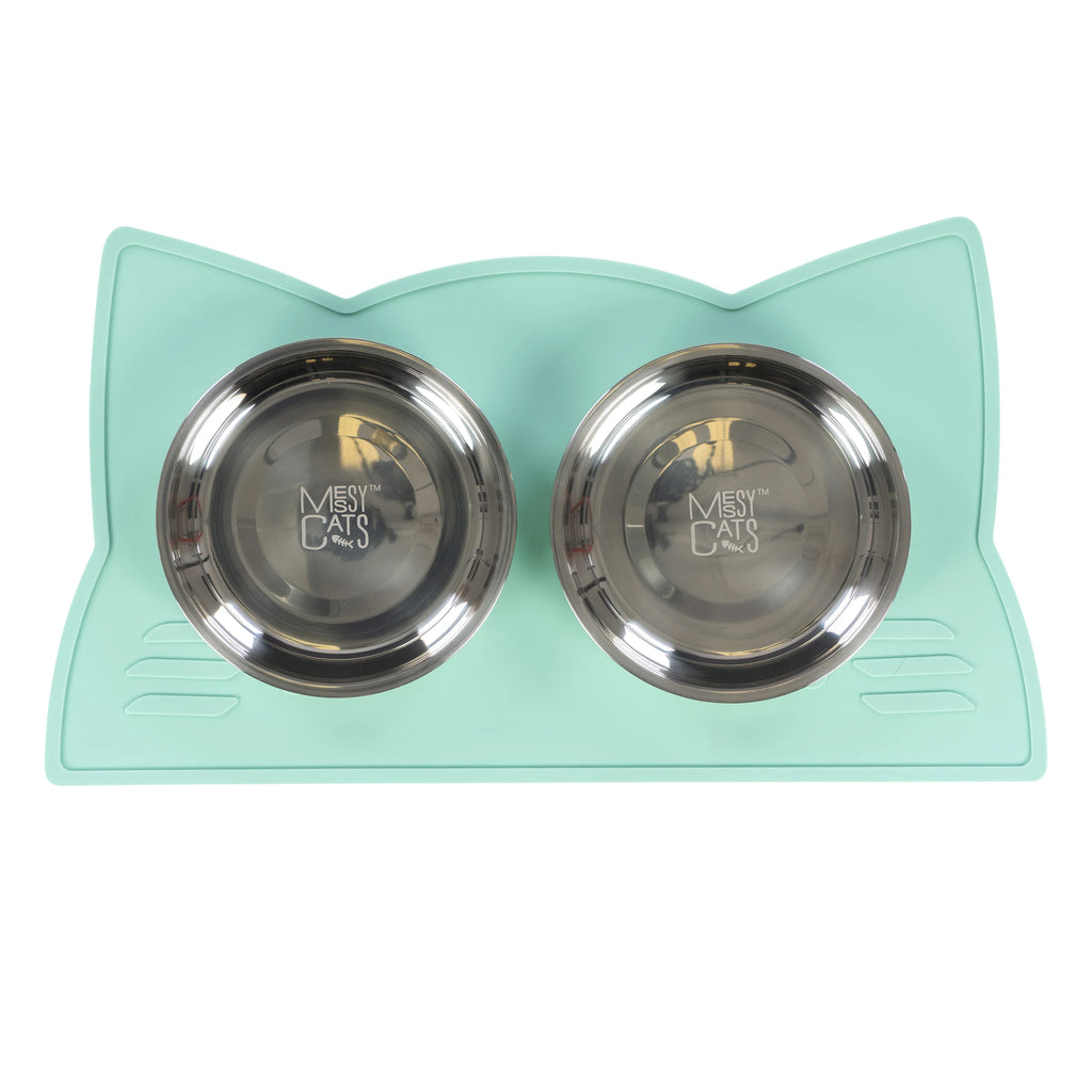 Silicone mint colour cat bowl mat with two stainless steel bowls
