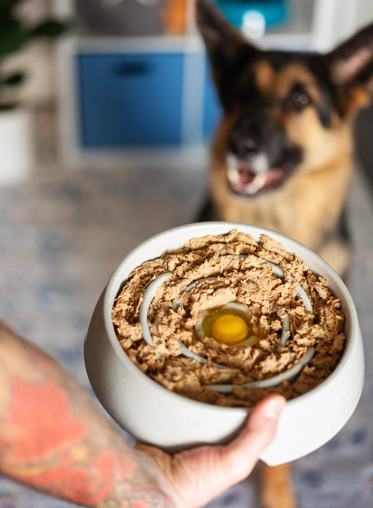 Soft dog food with an egg in a dog slow feeder . Dog ready to eat!