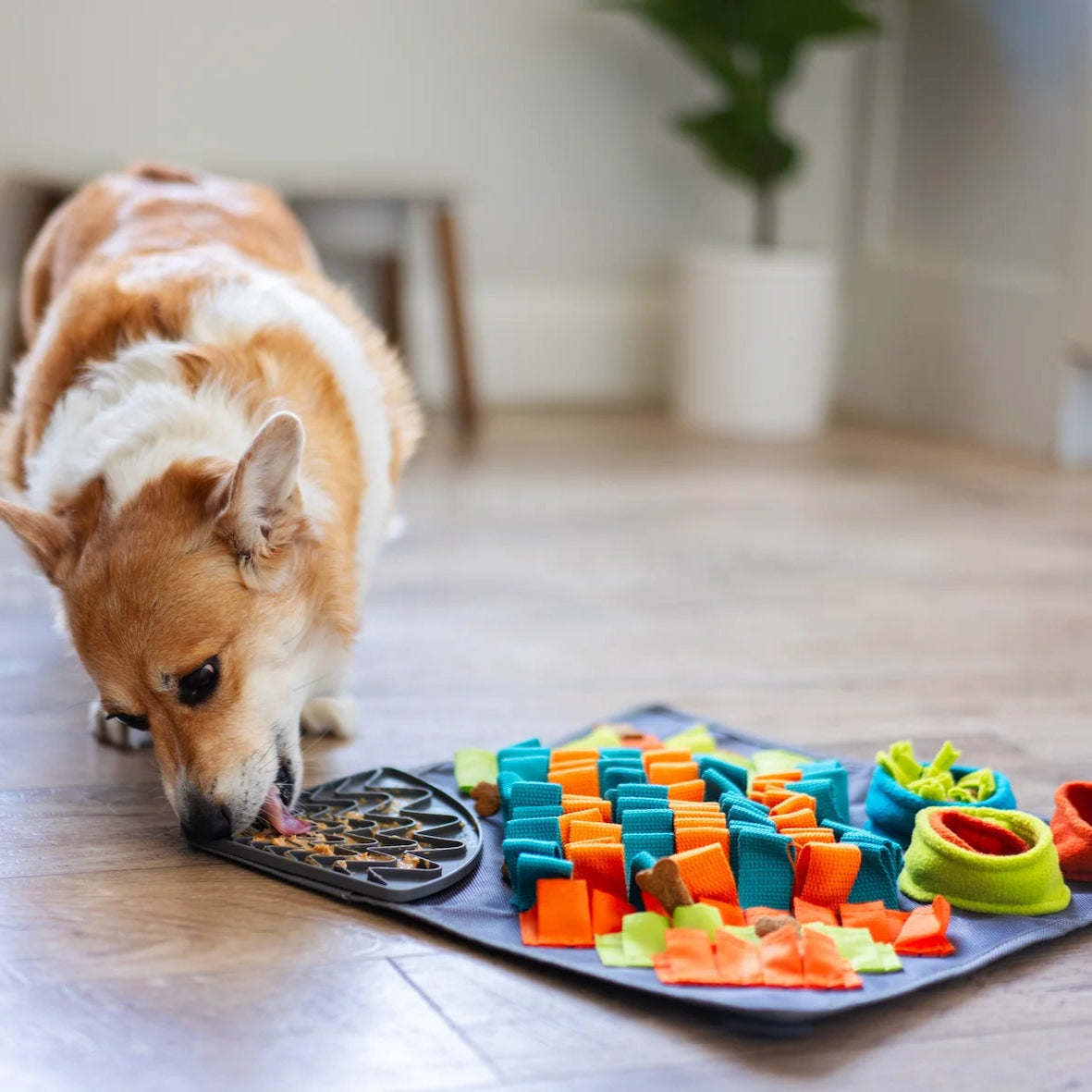 Dog food puzzle sales mat