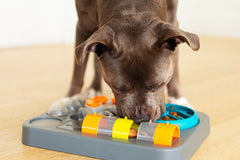 enrichment dog feeding.  Bully foraging for his meal. 