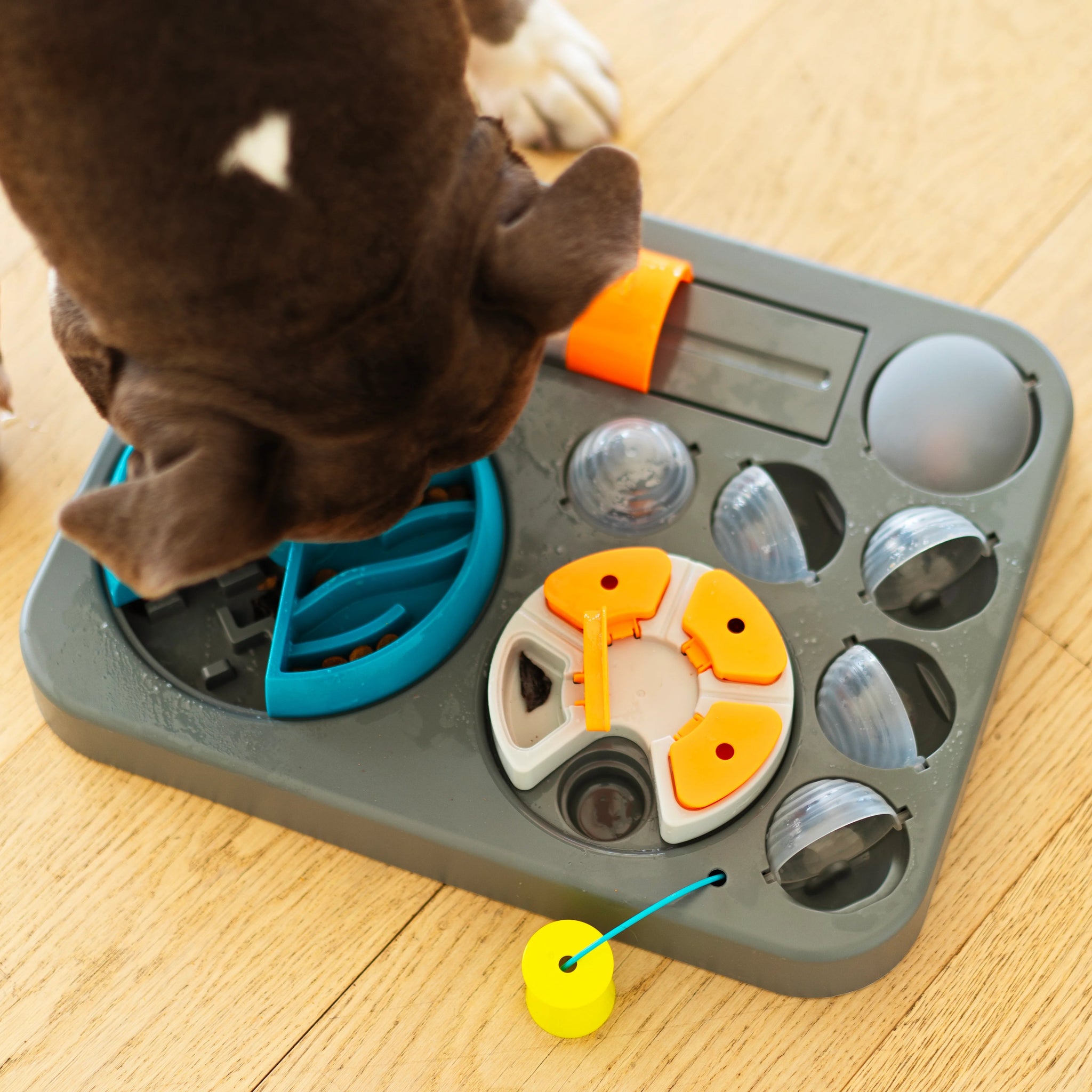 Messy Mutts Flip'n Slide Puzzler, Large Dog Puzzle, 16.5