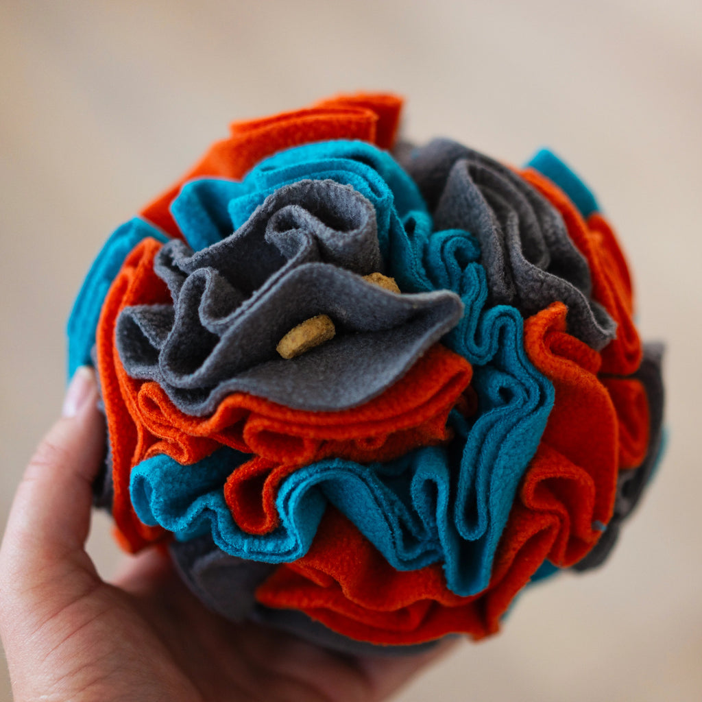 treats in colorful snuffle dog toy ball