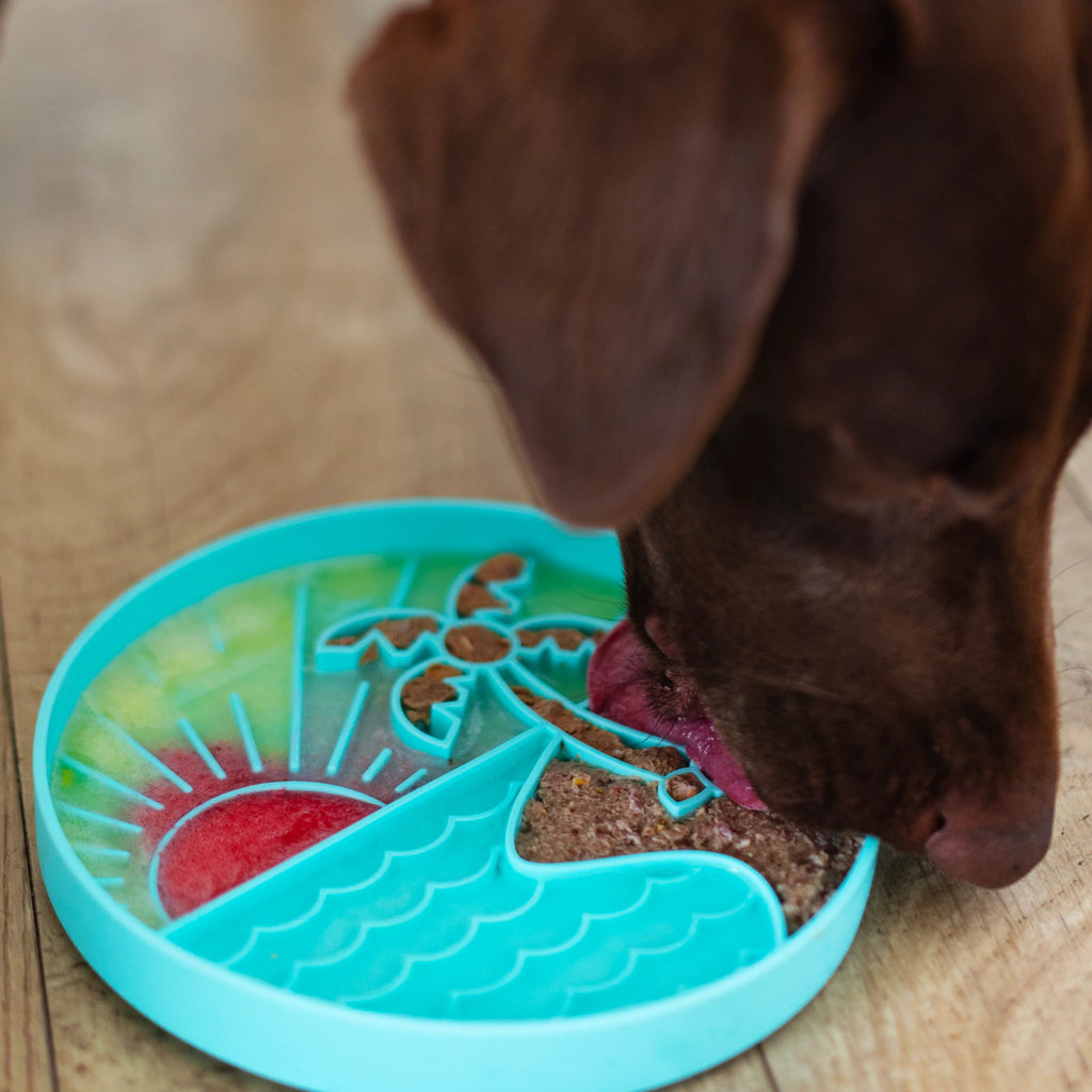 Chocolate lab licking and eating from silicone slow feeding bowl with sunset scene.