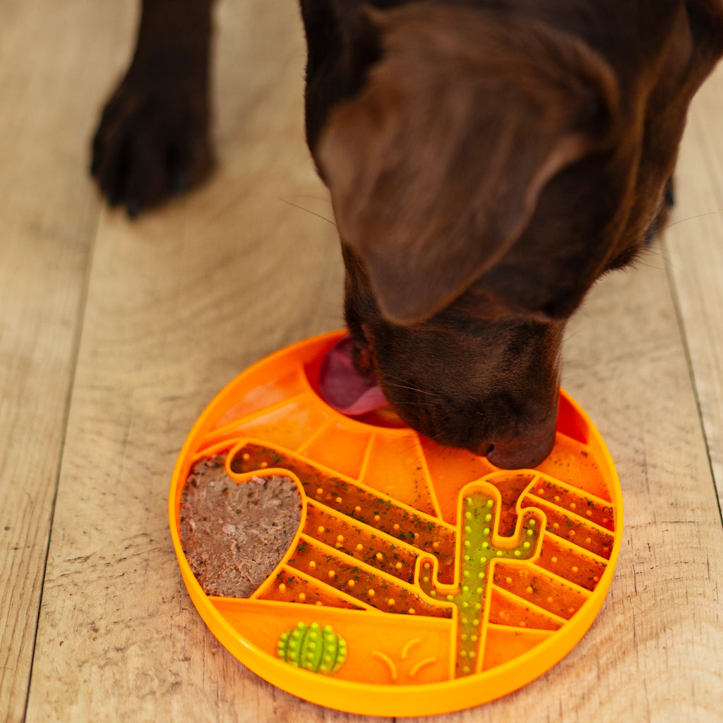 Desert scene silicone slow feeder with chocolate lab having a meal.
