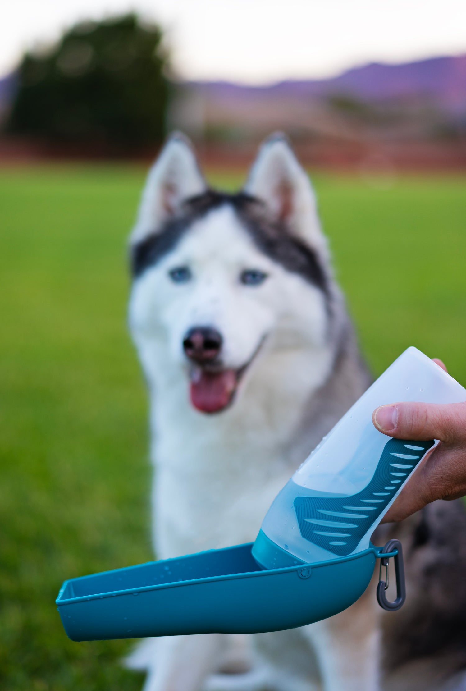 Blue travel dog water bottle that is soft to the touch and easy to squeeze.