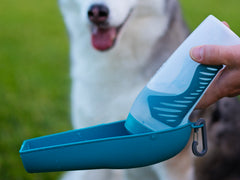 Blue squeezable travel dog water bottle.  