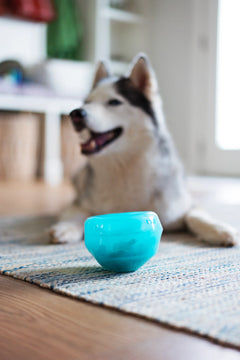 The ball is designed to roll around in a circle to help engage your dog.  They can fit their noe in to sniff the treats and there are extra holes to help with breathing. 
