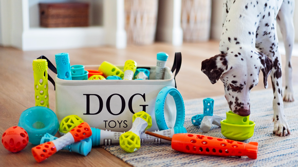 Pet accessories for hot sale dogs