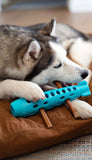 husky eating bully sticks from a teal bully stick holder.  