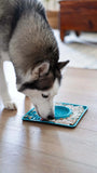 husky licking a spill resistant lick mat for enrichment.  