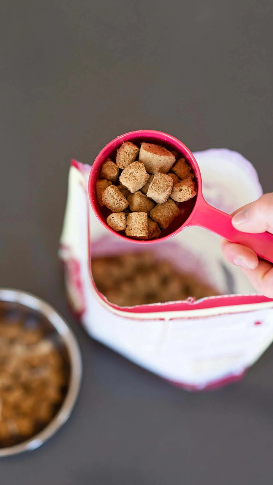 1 cup dog food scoop outlet