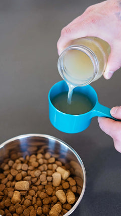 Blue pet food scoop measuring bone broth.  1 cup capacity.  Perfect for pet hydration. 