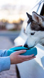 Husky drinking from a car window from a blue spill resistant silicone dog bowl.