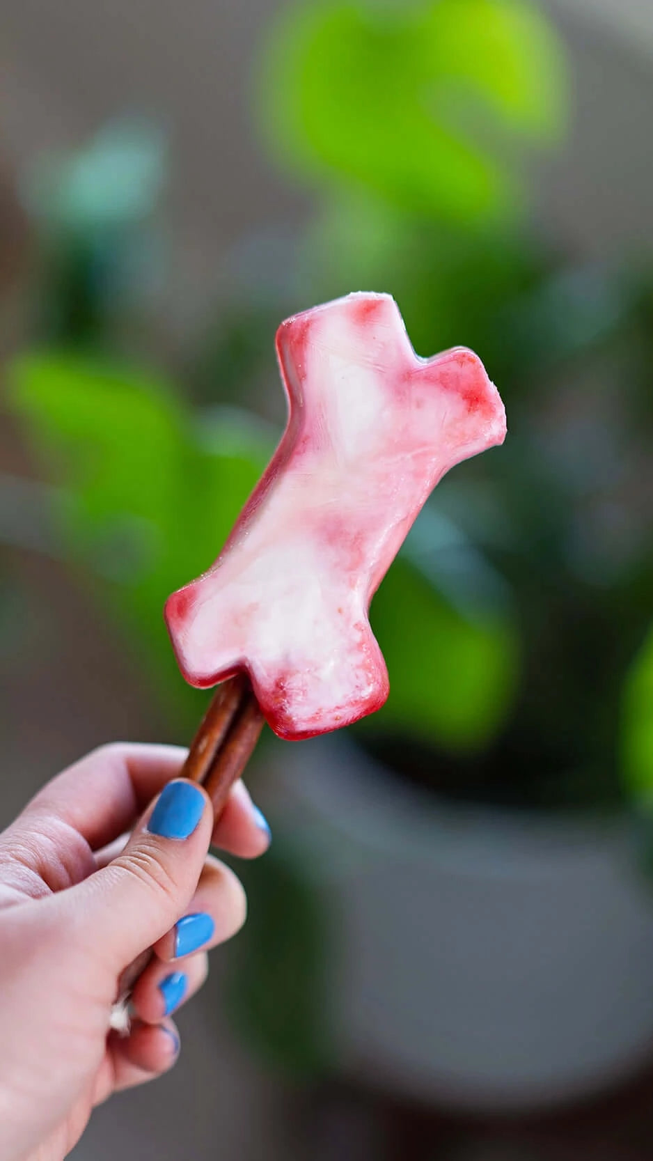 Dog popsicle with edible stick. 