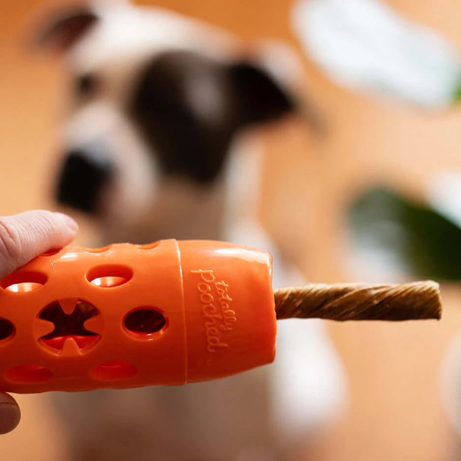 Petstages sales bully chew