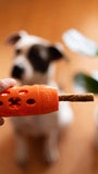 Orange bully stick holder with multiple way to hold treats and sticks.