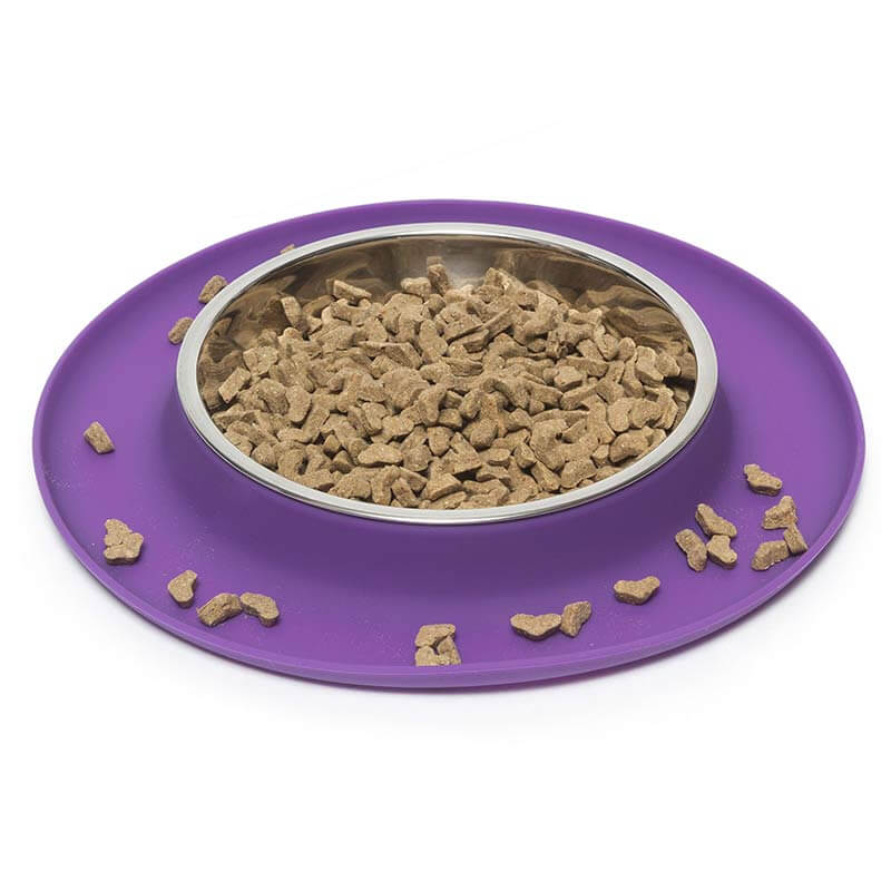 Cat Feeder with Stainless Steel Bowl Messy Cats Messy Mutts