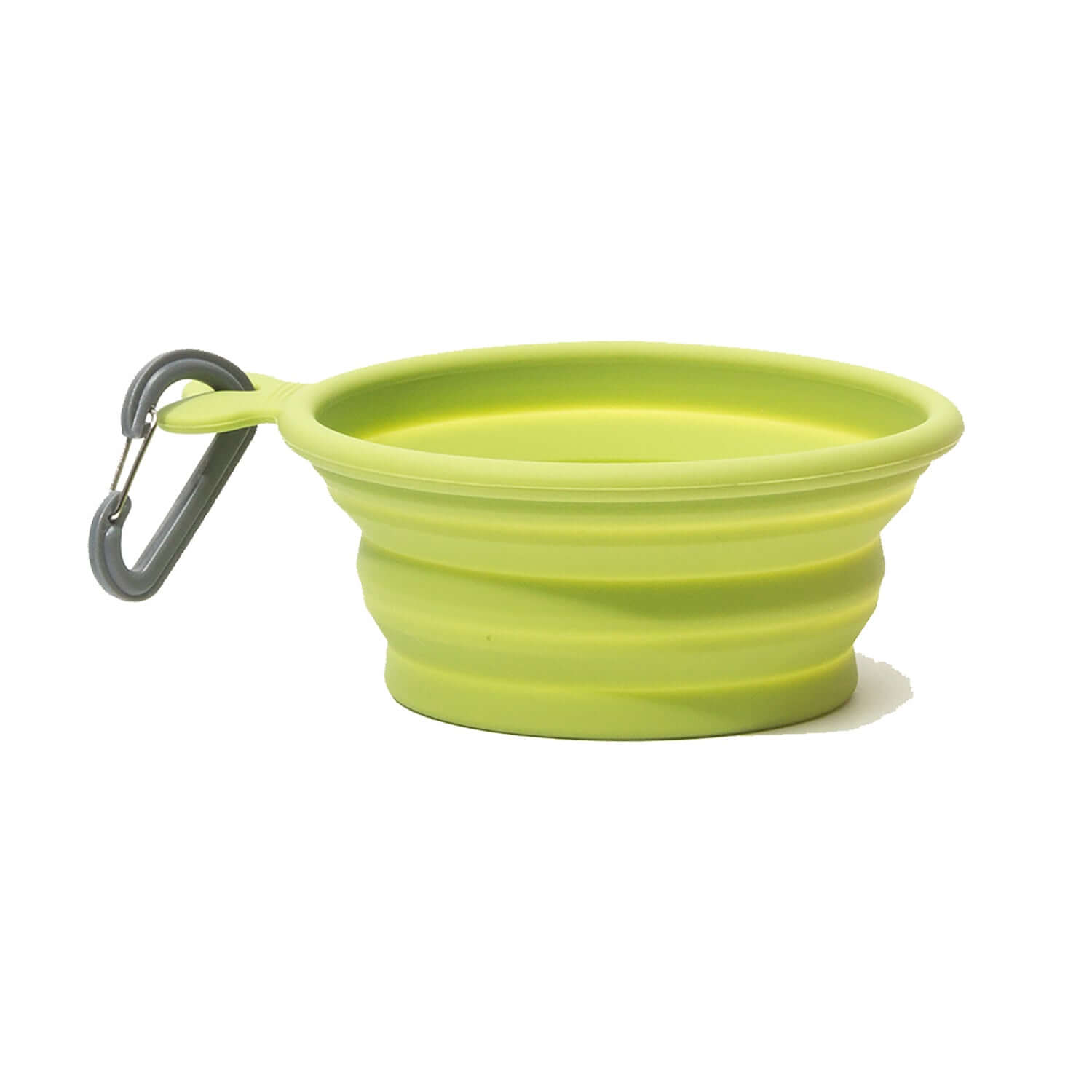 Green Collapsible silicone dog travel bowl with carabiner, 3  cup capacity.