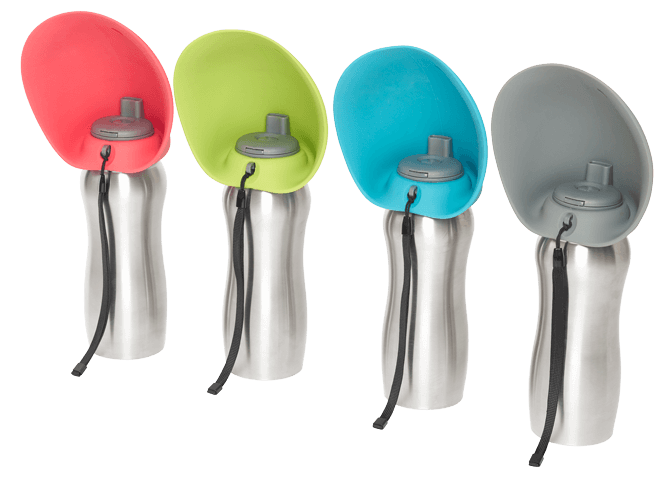 Stainless Steel Travel Water Bottle for Dogs Messy Mutts